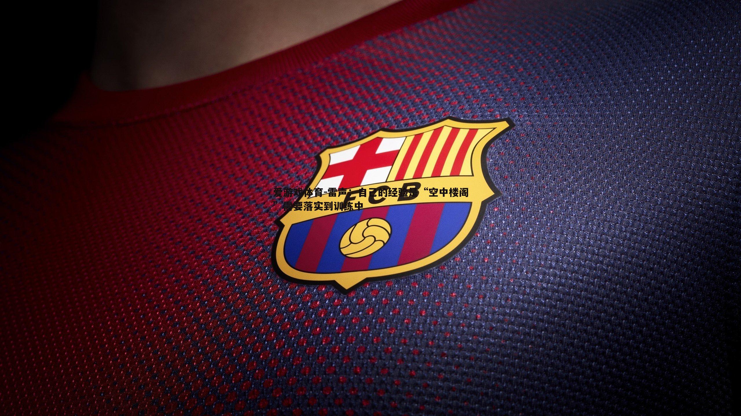 爱游戏体育-雷声：自己的经验是“空中楼阁”需要落实到训练中