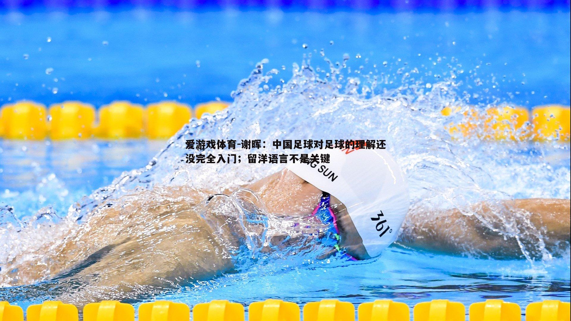 谢晖:中国足球对足球的理解还没完全入门;留洋语言不是关键